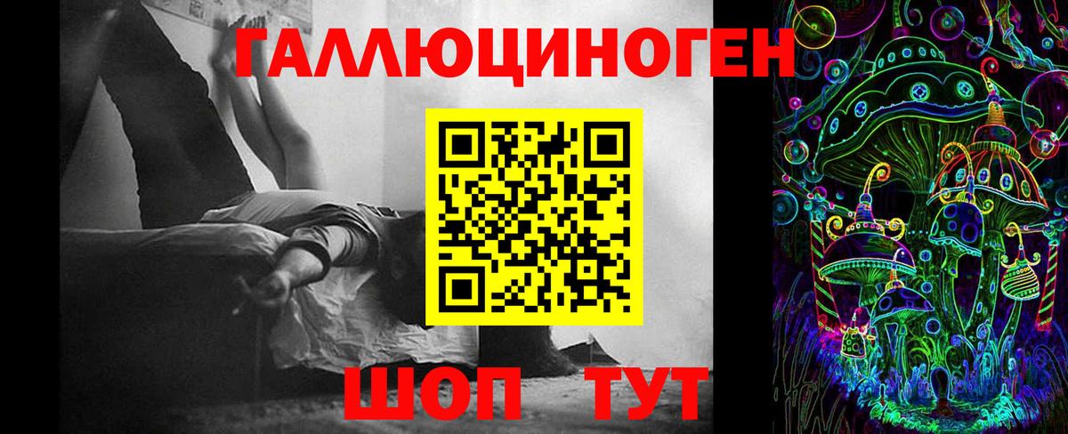 Галлюциногенные грибы Cubensis Мурино