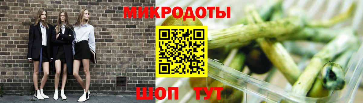 Псилоцибиновые грибы мухоморы  Вход с VPN  Галлюциногенные грибы Psilocybine cubensis  купить закладку  Мурино 